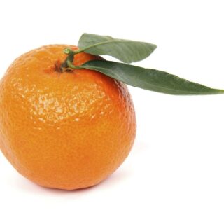 Free orange image