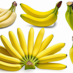 Banana is good, nutritious and essential fruit