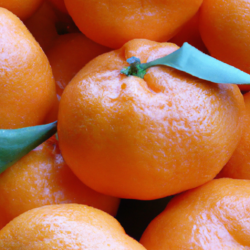 eating mandarine everyday is good and healthy.