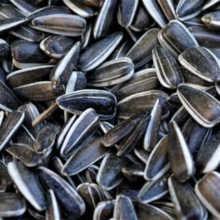 benefits of sunflower seeds and how to use them