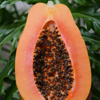 the nutritional benefits of pawpaw and Its origin