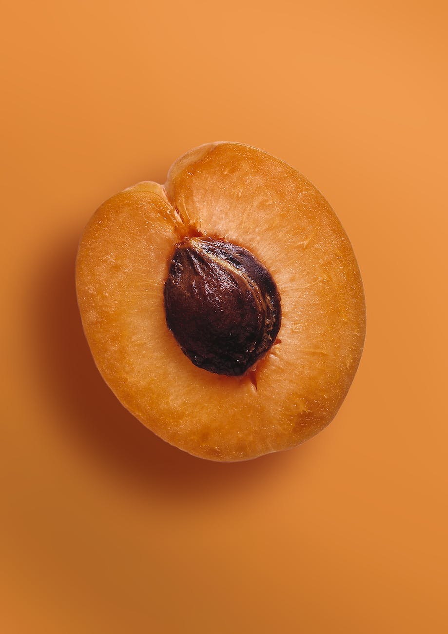 all you need to know about apricot from growth to recipes