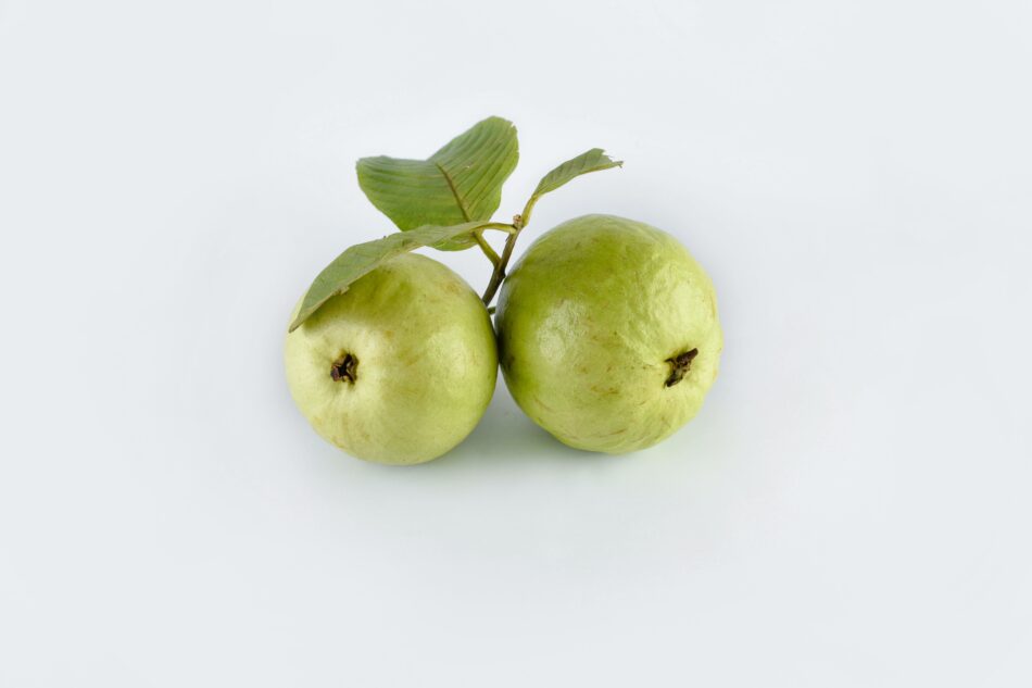 Guava Fruit