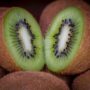 Kiwis The Powerhouse of Nutrients And Vitamins