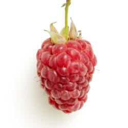 Origins of the Raspberry: A Brief History