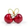 Discover the incredible world of cherries