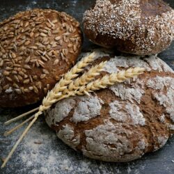  The Best Secrets of Rye From Nutrition To Yummy Recipes