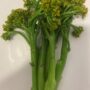 Bunch of Bimi